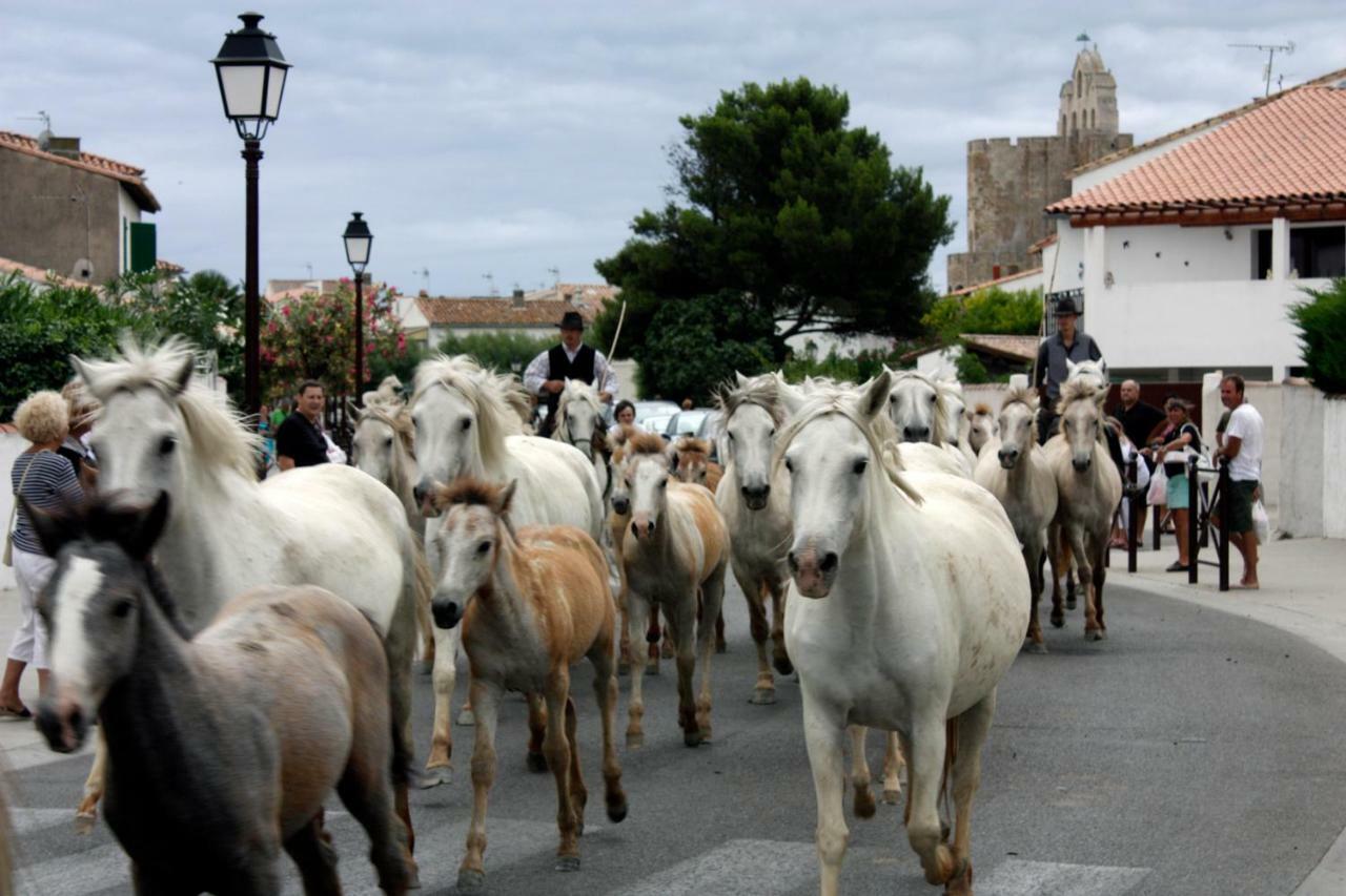 Hotel Le Neptune En Camargue Saintes-Maries-de-la-Mer Exteriör bild